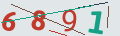verifycode